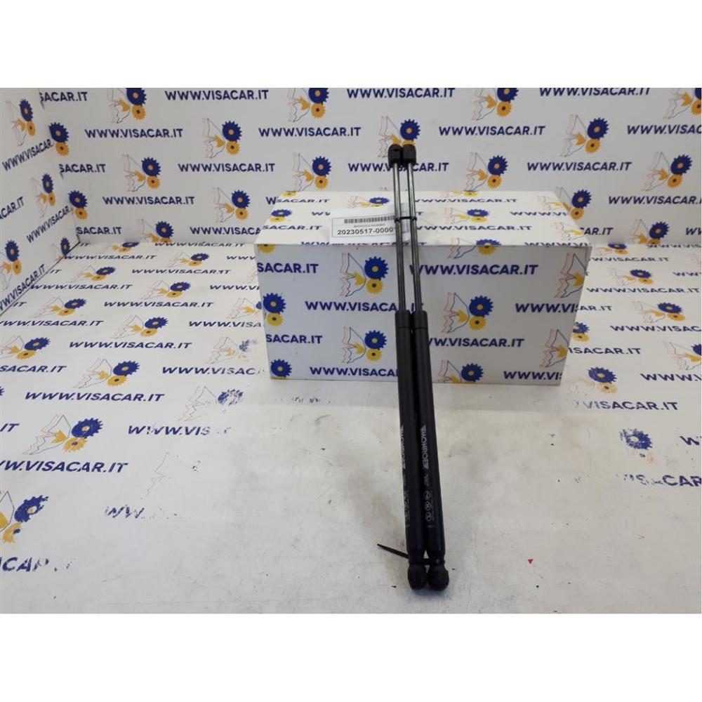 Pistoncini Ammortizzatore Portello Posteriore