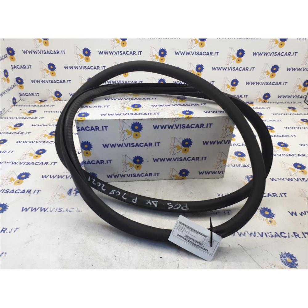 Guarnizione Anteriore Porta Anteriore Destro Usato Dal 2019 Peugeot 208 «Ii» (2019)