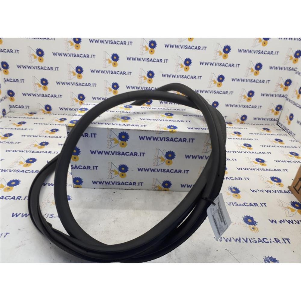 Guarnizione Anteriore Porta Anteriore Sinistro Usato Dal 2019 Peugeot 208 «Ii» (2019)