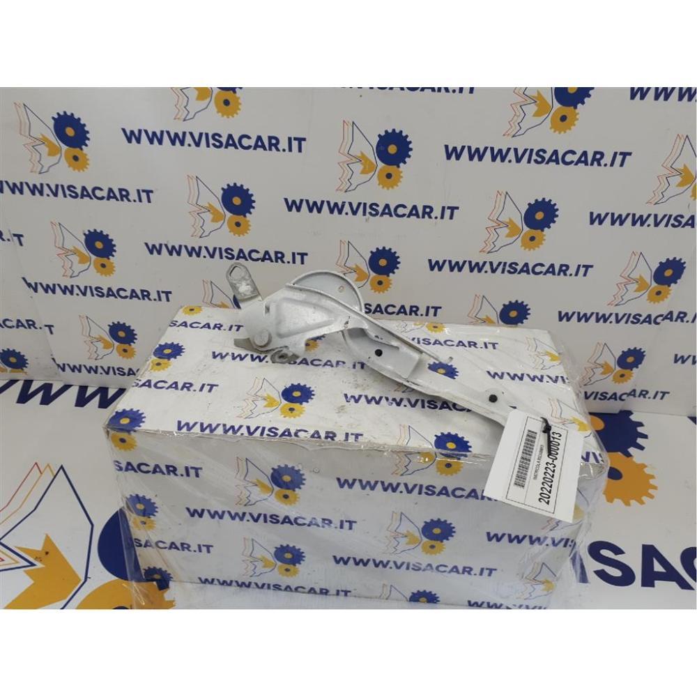 Cerniera Cofano Anteriore Destro Usato Dal 2019 Peugeot 208 «Ii» (2019)