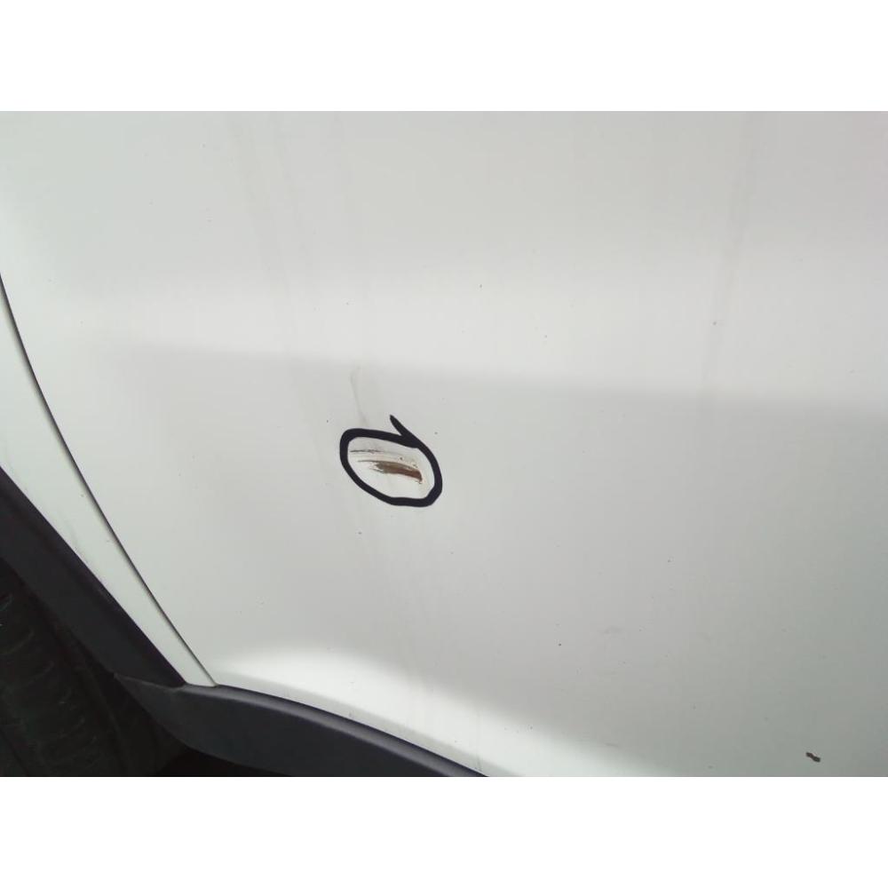 Porta Anteriore Sinistro Usato Dal 2011 Ssangyong Korando «Iii» (2011)