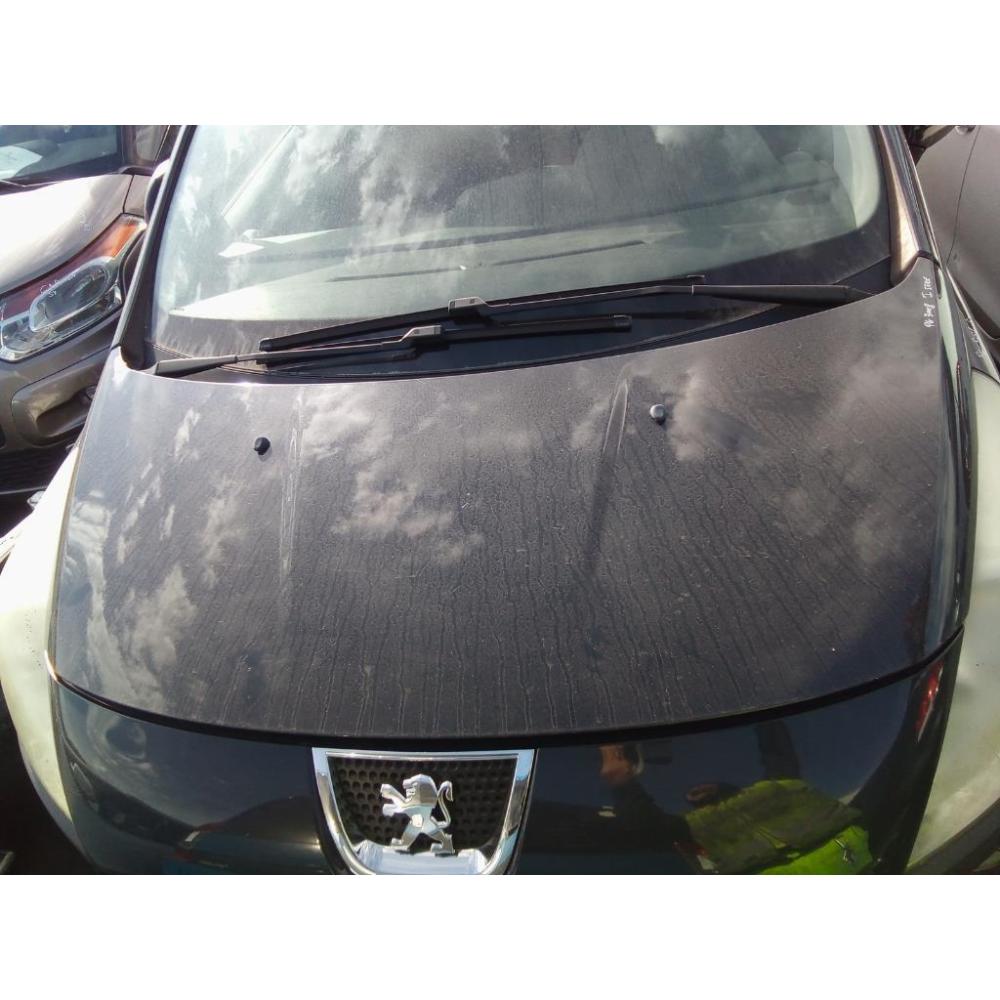 Cofano Anteriore Usato Dal 2009 Al 2013 Peugeot 3008 «I» (2009)