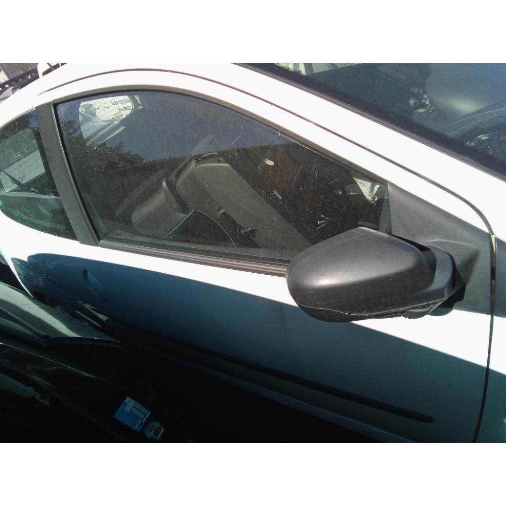 Porta Anteriore Destro Usato Dal 2011 Al 2014 Renault Twingo «Ii» (2012)